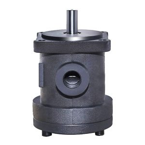 fix térfogatú lapátos szivattyúk